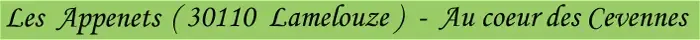 Lou Feillas