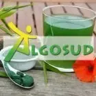 Logo de Algosud
