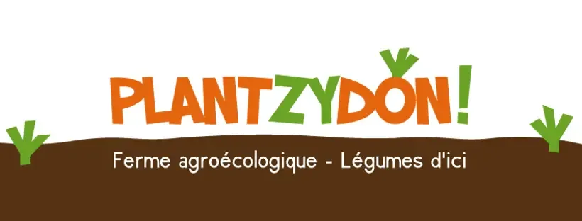 Plantzydon