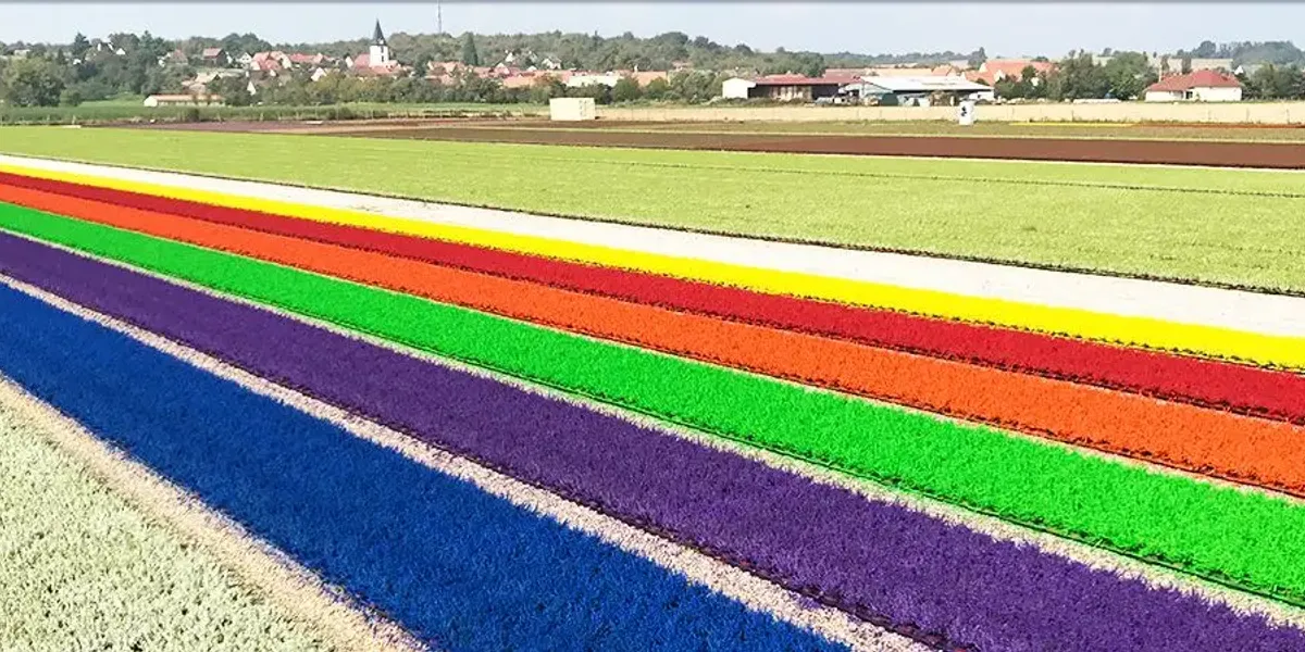 Les Cultures Florales d'Alsace - Ets Richter