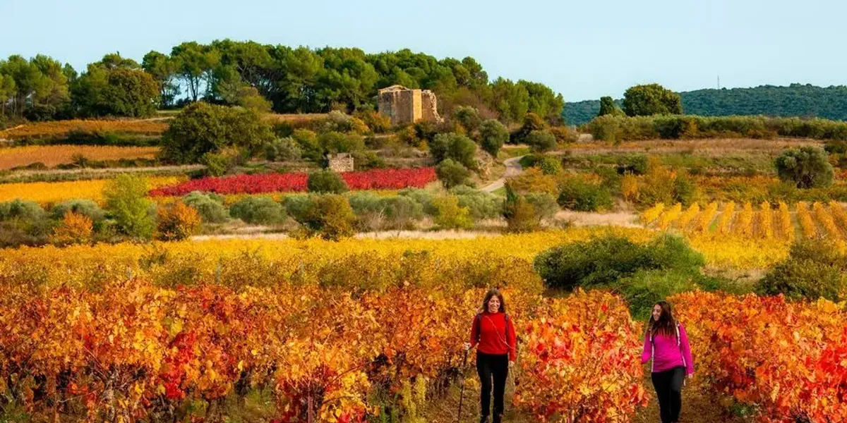 Domaine Bois Bories