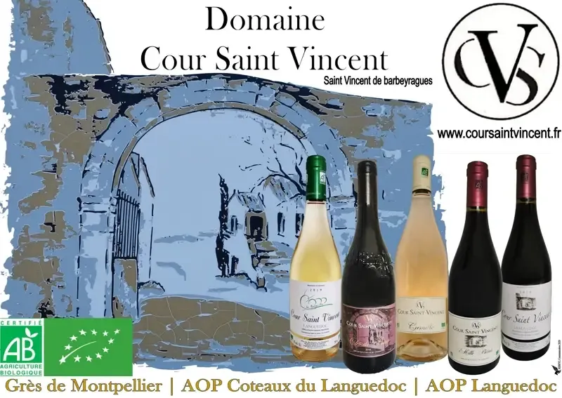 Domaine Cour Saint Vincent