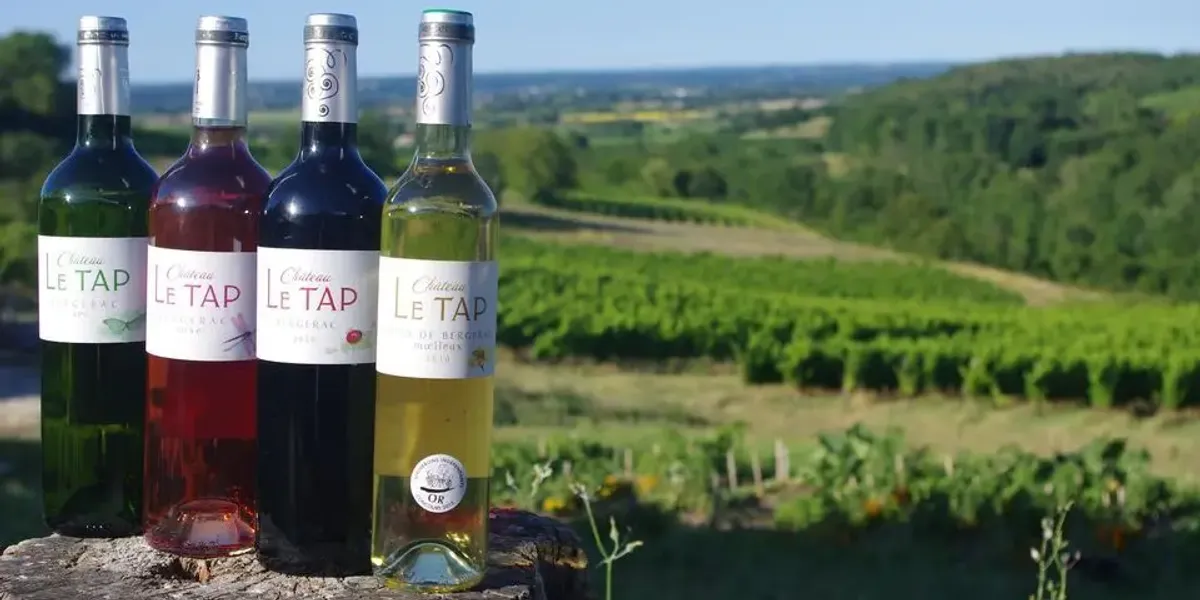 Chateau Le Tap