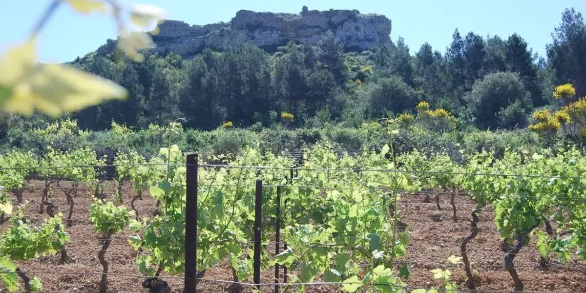 Domaine La Micardière