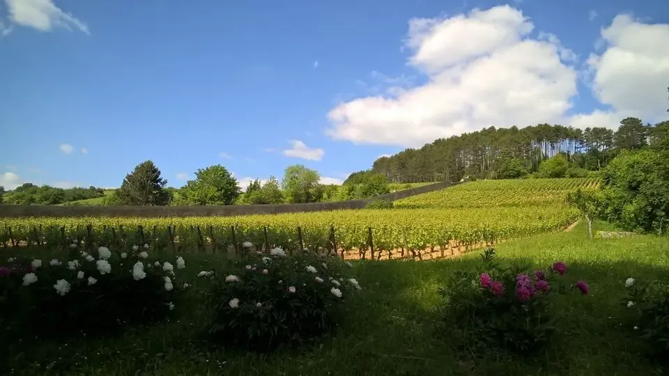 Domaine Dubreuil-Fontaine