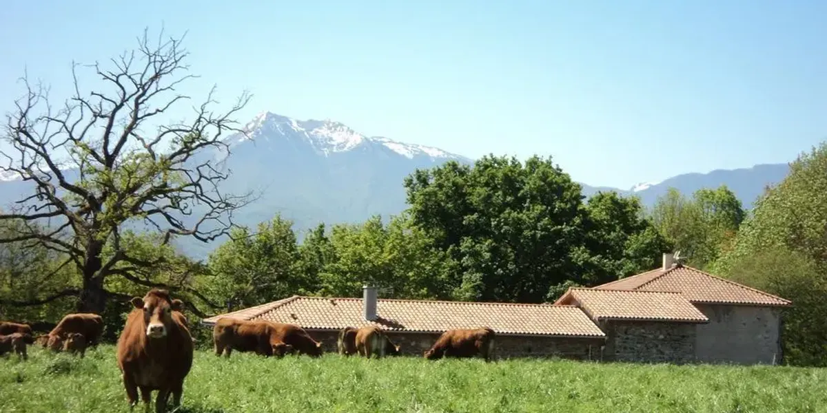 La Spirénée, producteur de Spiruline en Haute Garonne