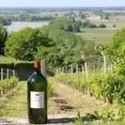 Logo de Chateau Biac