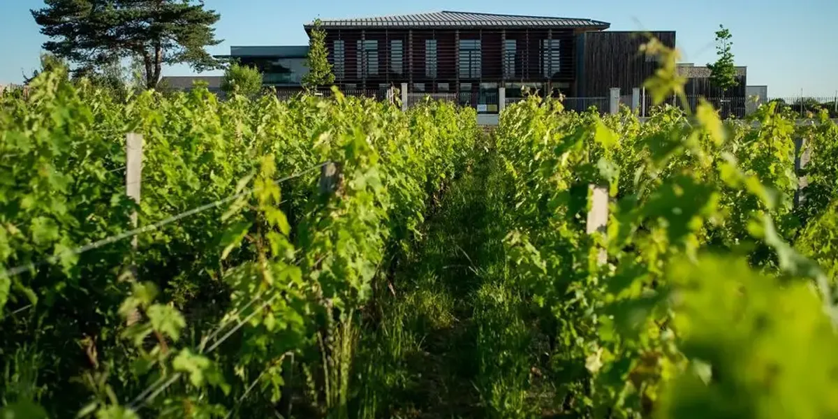 Château Couhins
