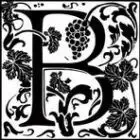 Logo de Château Bigaroux