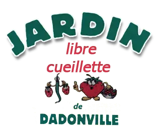 Libre cueillette de Dadonville (Thomas Lydia)