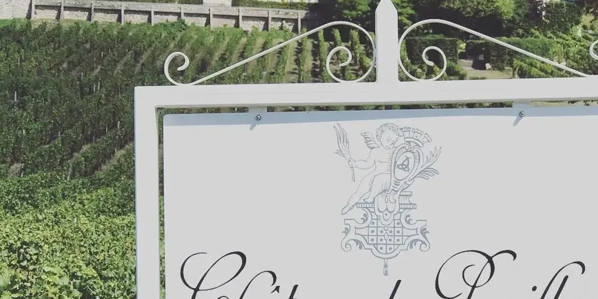 Château du Pavillon - Les Vignobles Olivier Fleury