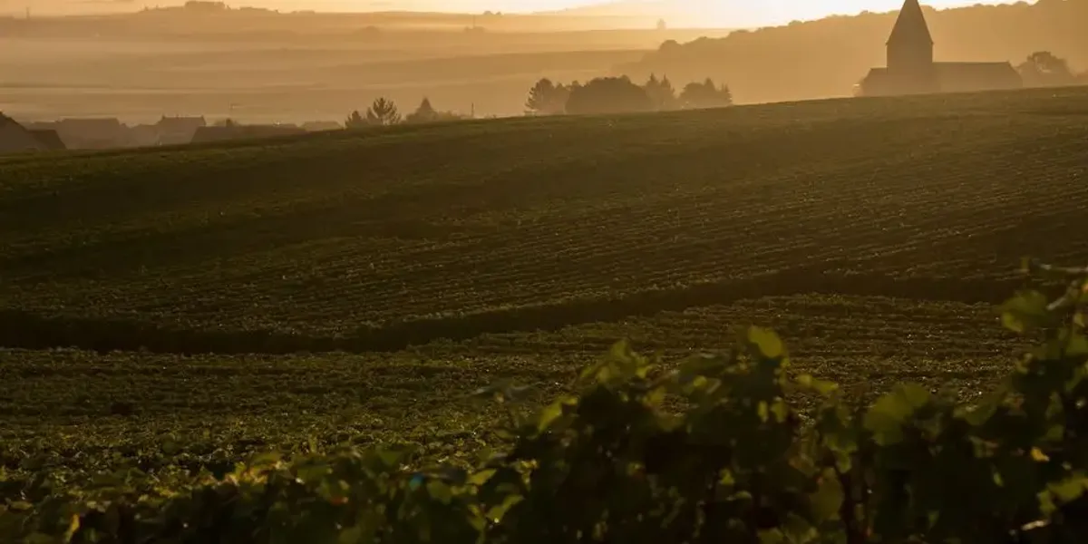 Champagne Goulin Roualet