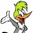 Logo de Willy Wood Toy’s
