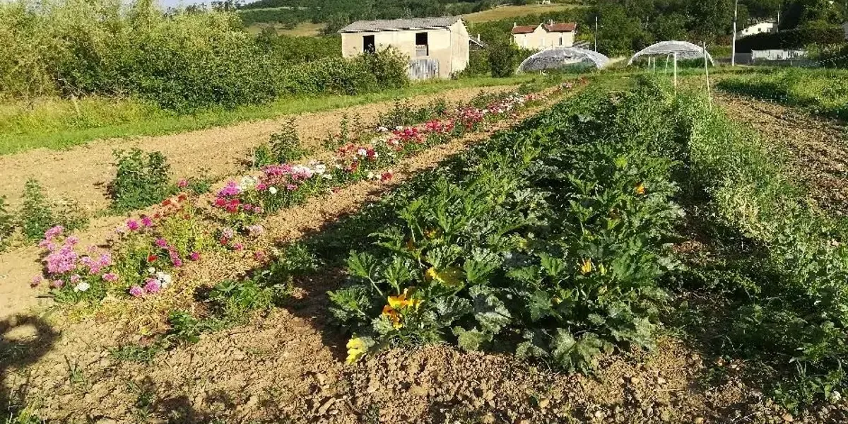 Ferme de Serpolet
