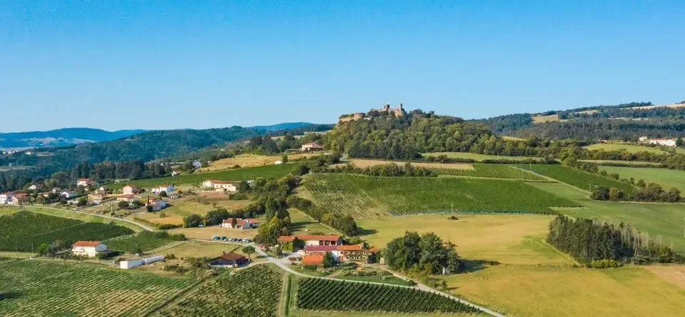 Cave Verdier Logel