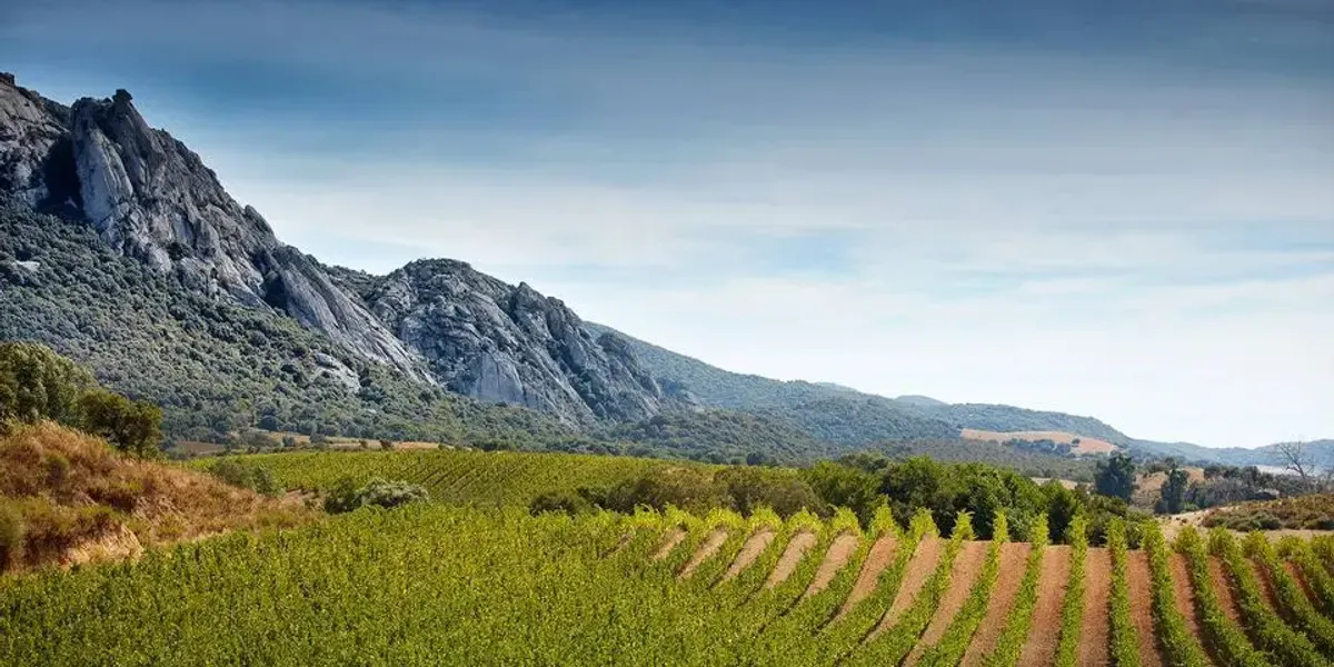 Domaine Fiumicicoli
