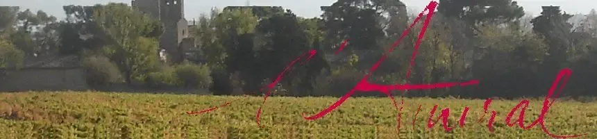 Château L'Amiral