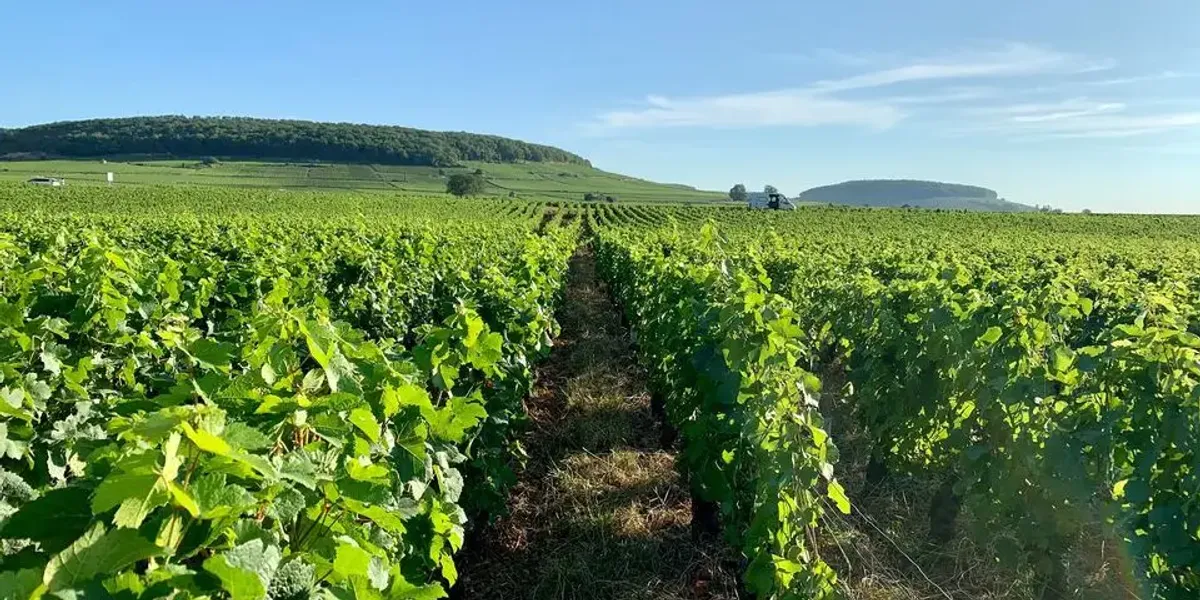 Gaec Cornu Edmond Et Fils