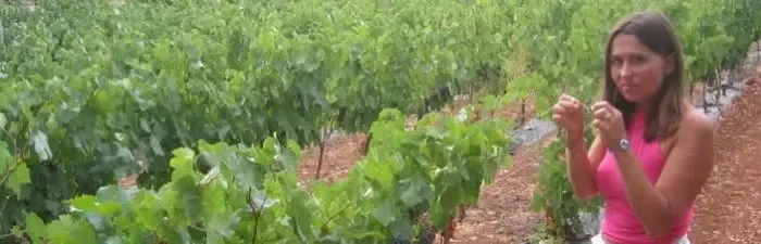 Domaine Saint Ange