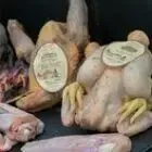 Logo de La Ferme des Minimes