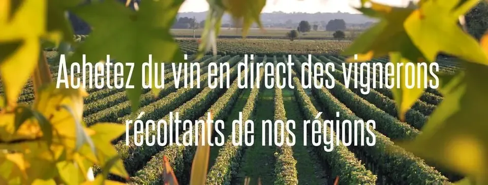 Domaine Claudine Vigne