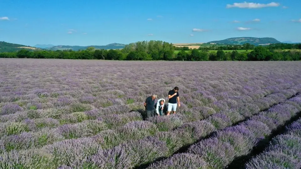 Helpac - Distillery Saint Hilaire