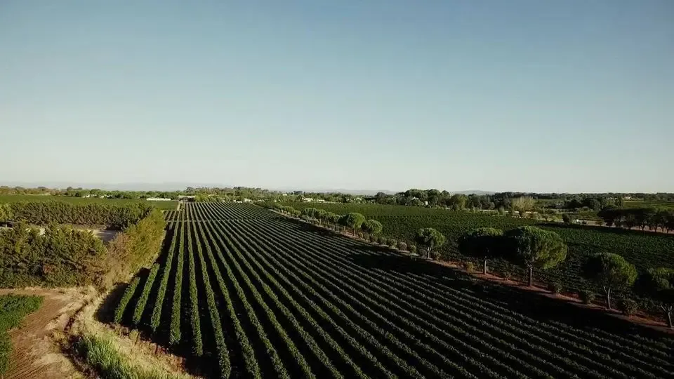 Domaine de Montrose