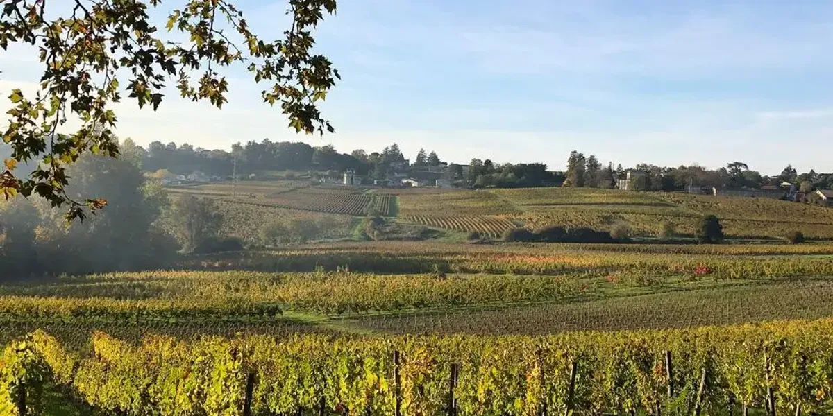 Château Mazeris Bellevue