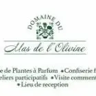 Logo de Le Mas de l'Olivine