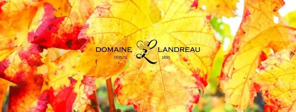 Domaine Landreau