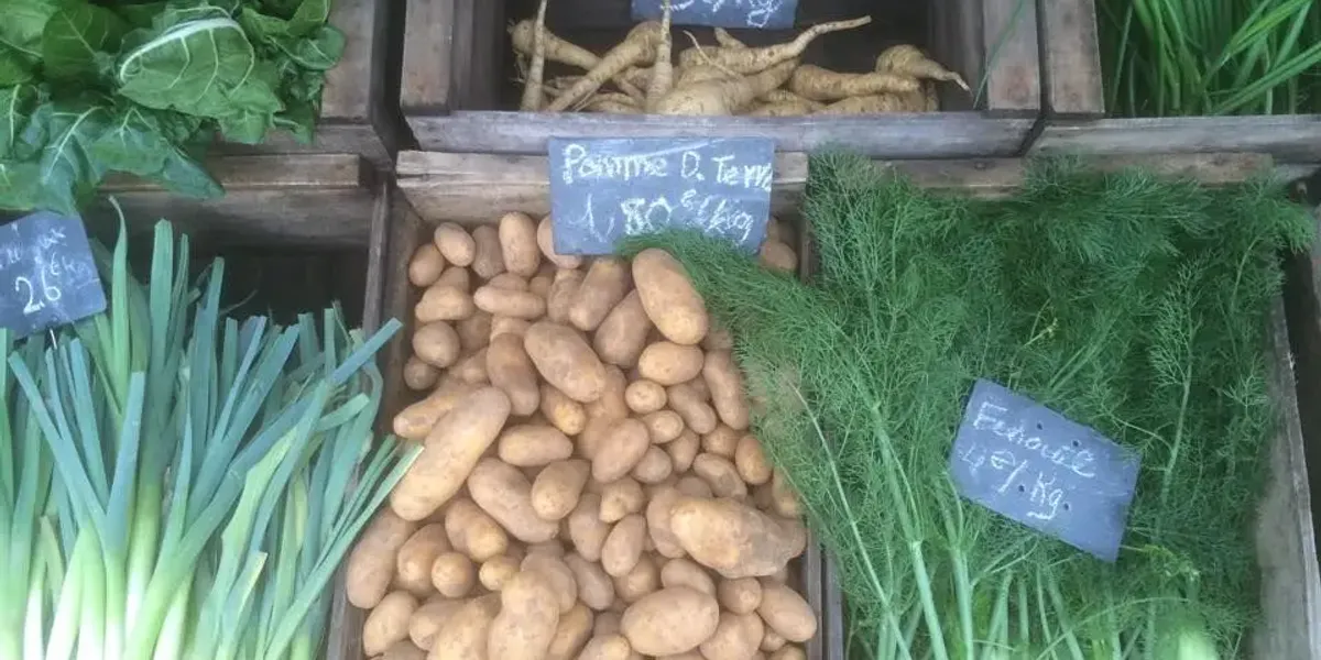 Les Jardins de la voie romaine - Roseraie de Morailles