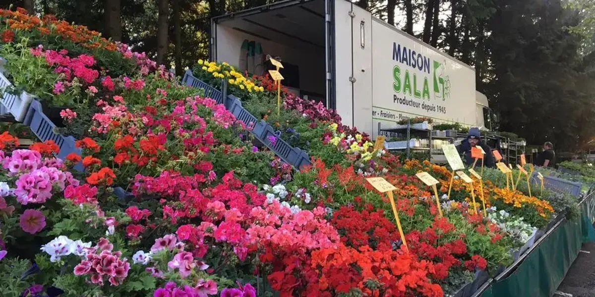 Maison Sala