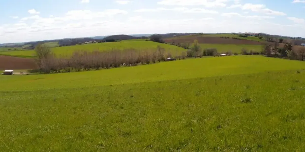 Le chêne d'en Pontier