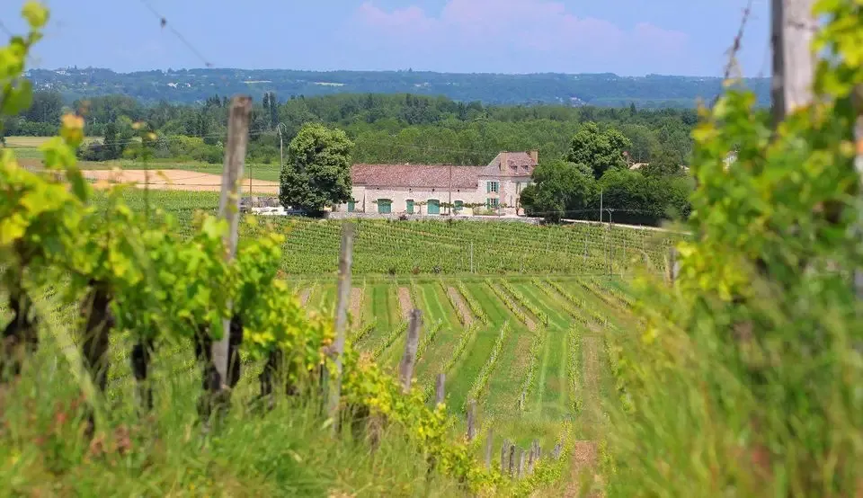 Château Marie Plaisance - Les Côteaux de Plaisance