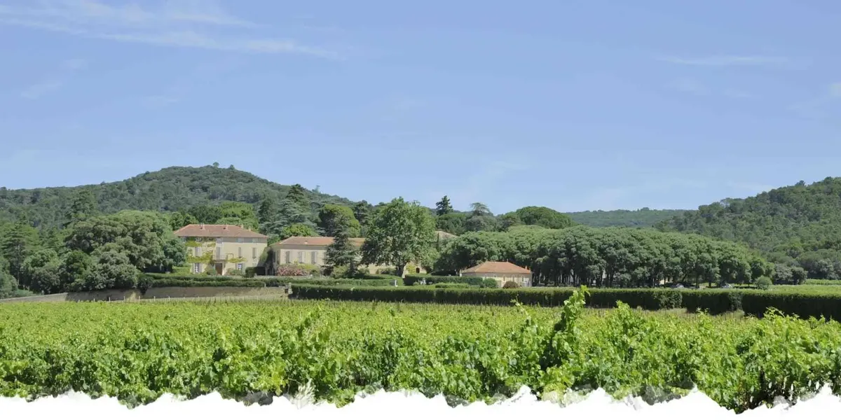 Chateau Saint Esteve D'Uchaux