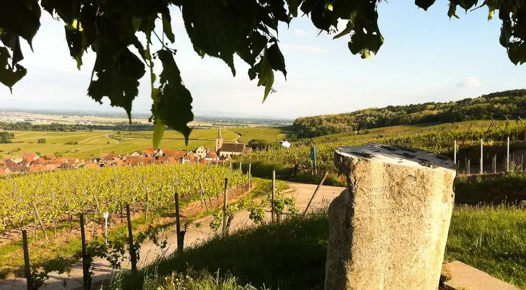 Vins d'Alsace Kientz René Fils