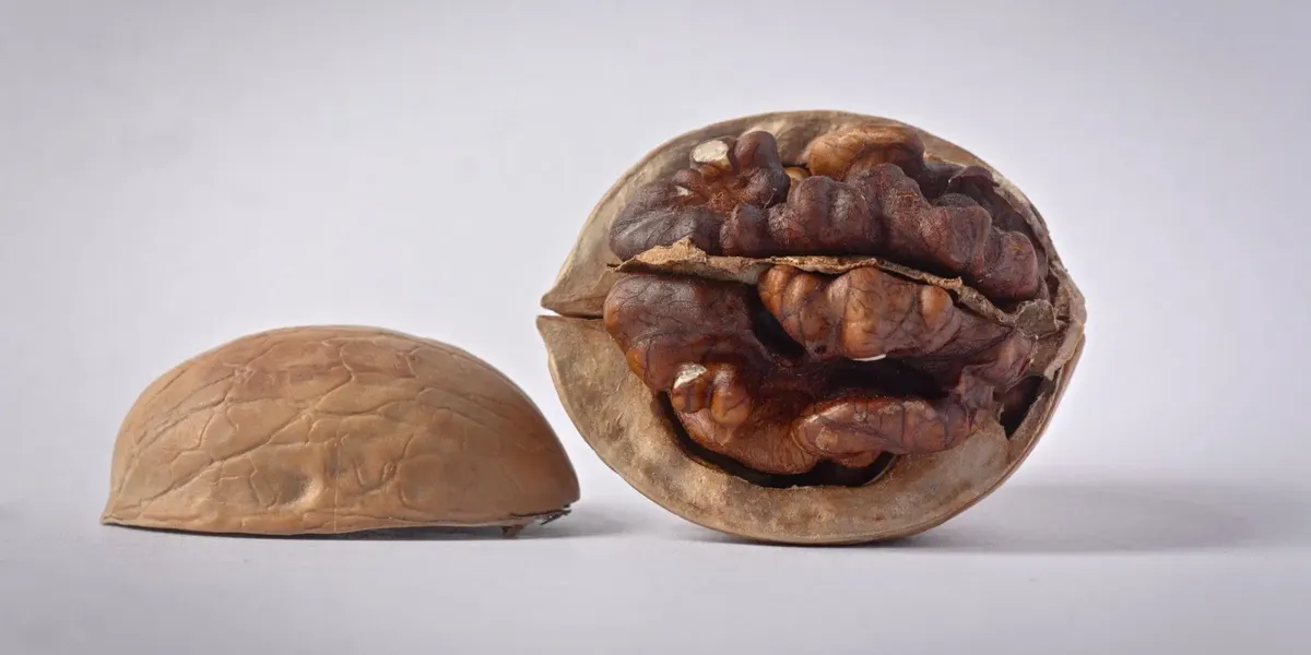 Les Vergers Du Leoure