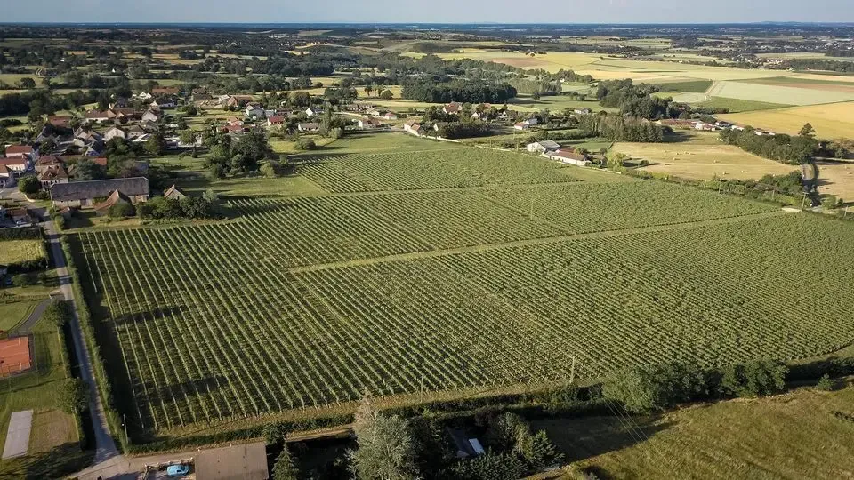 Clos de Breuilly