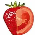 Logo de La Ferme Du Chassy