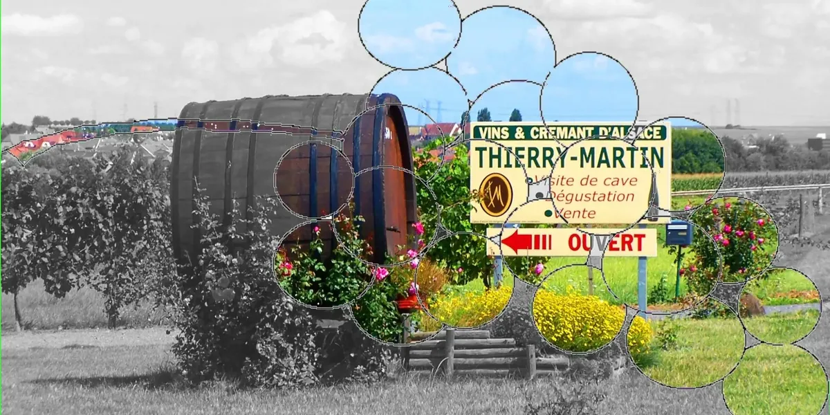 Vins Thierry Martin
