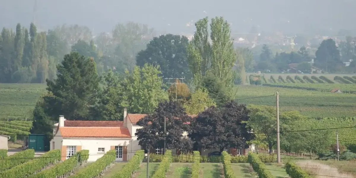 Domaine des grands champs - Cathal André et Fils