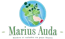 Auda Marius