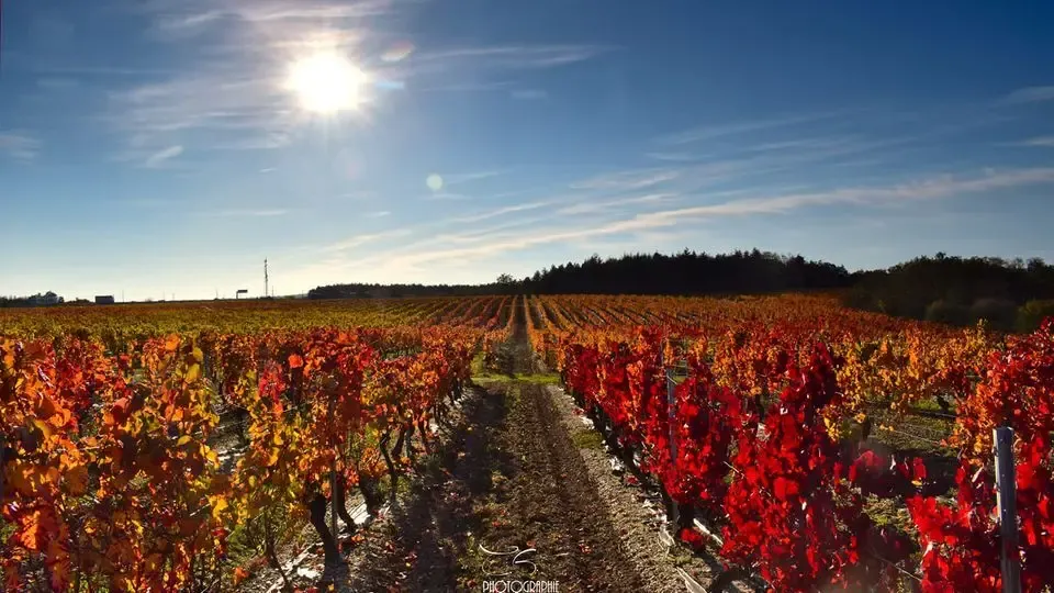 Domaine Gardien