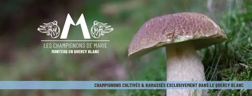 Les Champignons de Marie