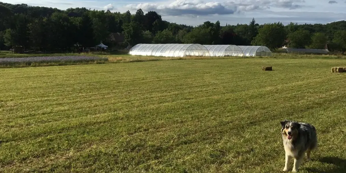 Ferme de Rodas