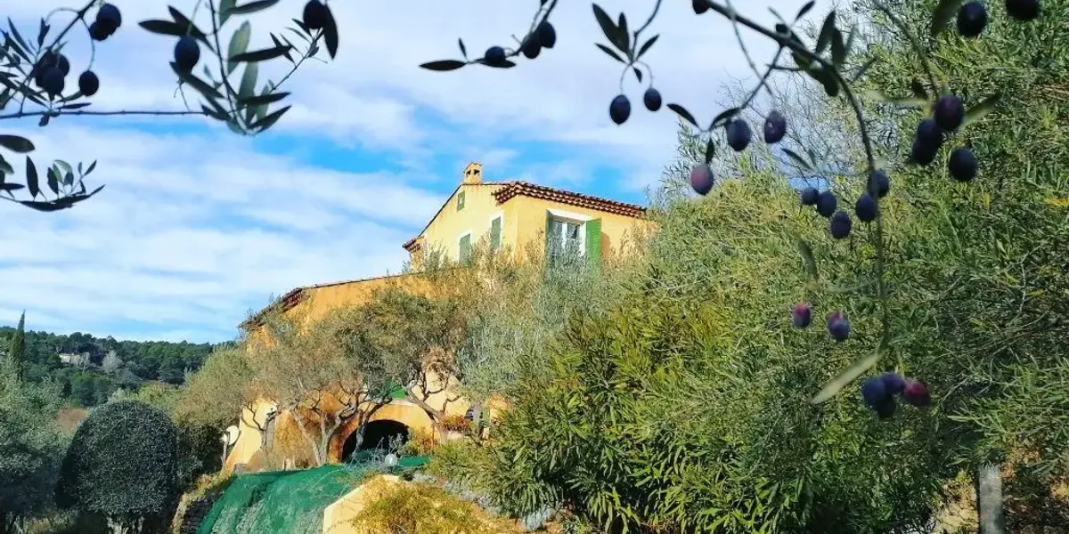 Les Flaveurs Du Rocher Cotignac