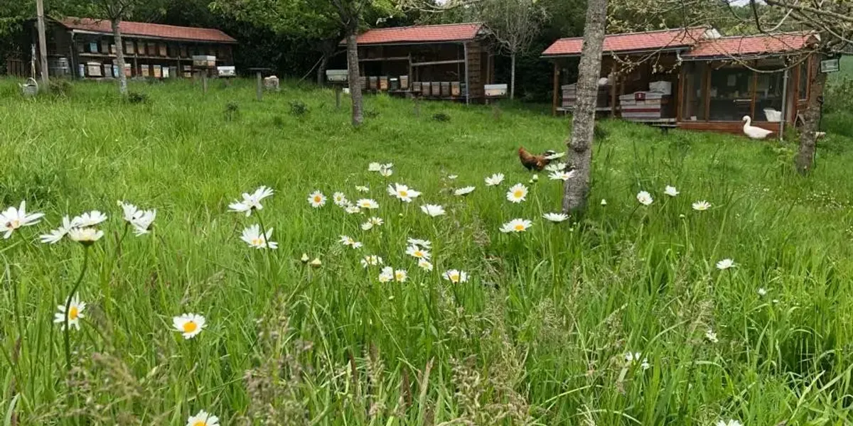 Les Ruchers du Dourdannais