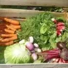 Logo de Le potager bio