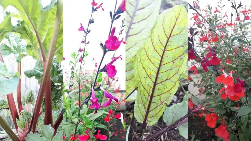 A-Grow Bio