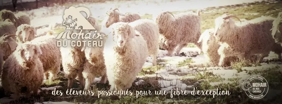 MOHAIR DU COTEAU - Maxence FLEYGNAC